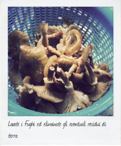 lavate-i-funghi